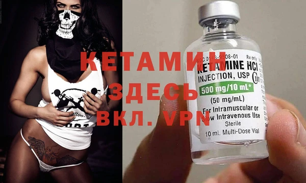 мет Алексин