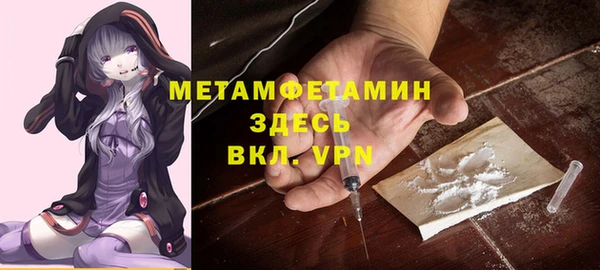 мет Алексин