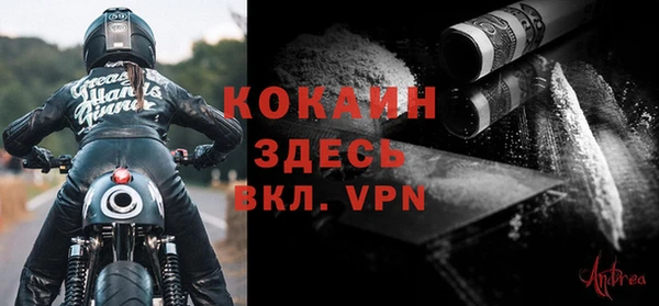 мет Алексин