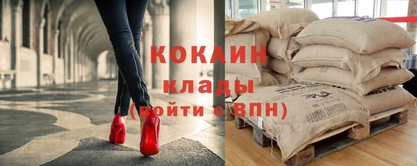 мет Алексин