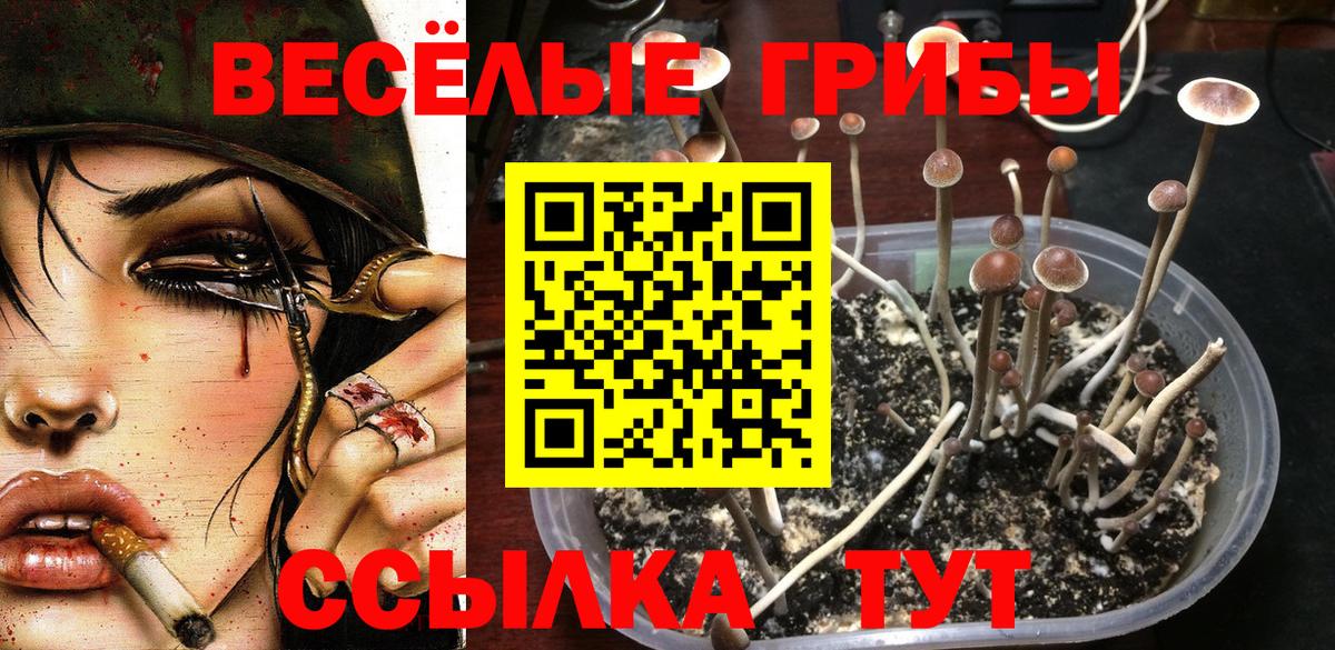 Уфа  Галлюциногенные грибы ЛСД  Вход с VPN 