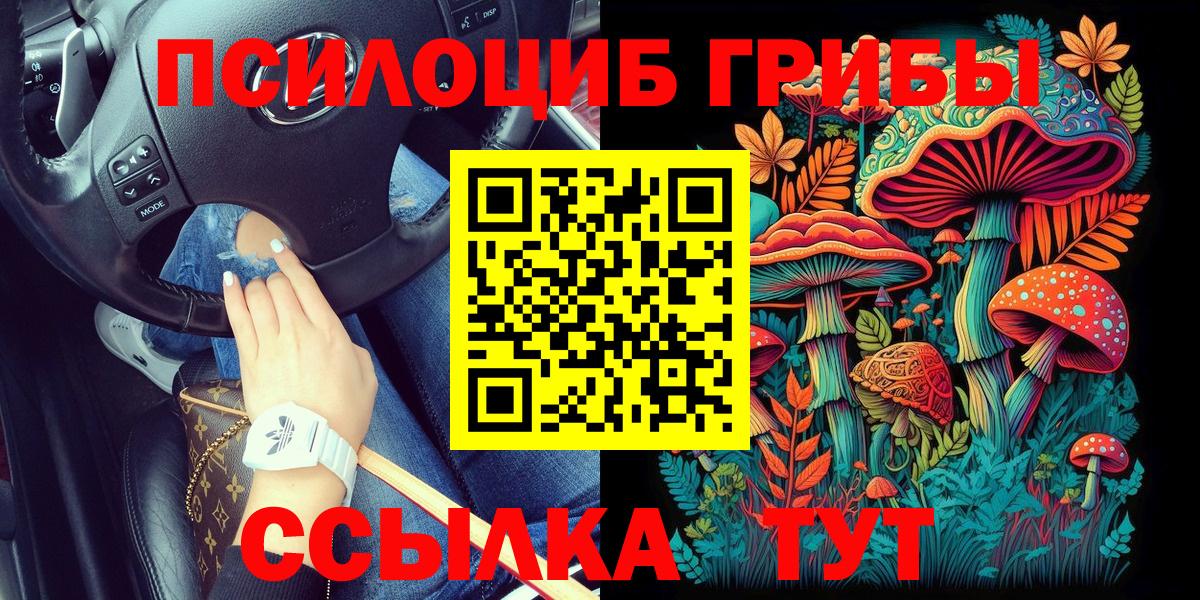 APVP Уфа